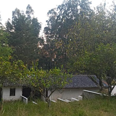 Quinta Los Eucaliptos Βίλα Κίτο Εξωτερικό φωτογραφία