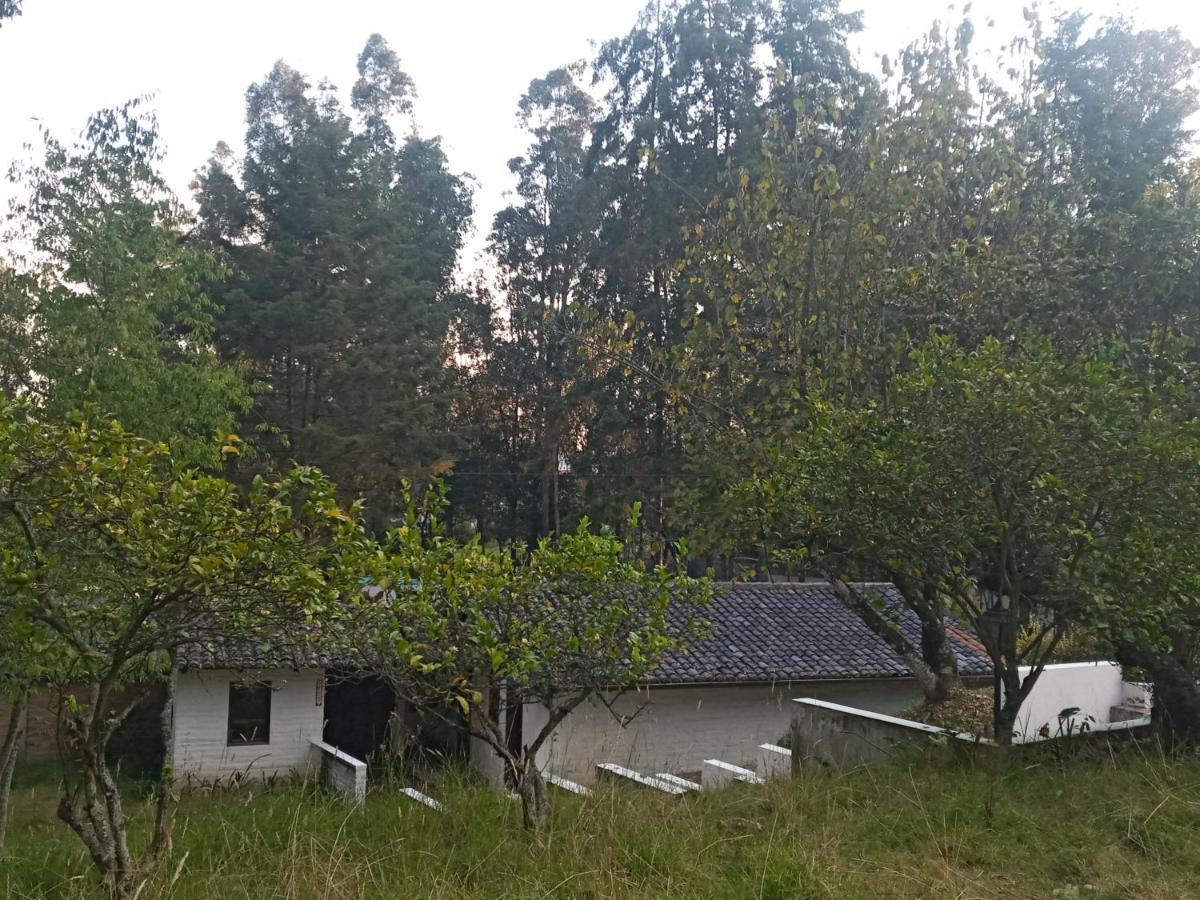 Quinta Los Eucaliptos Βίλα Κίτο Εξωτερικό φωτογραφία
